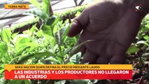 Las industrias y los productores no llegaron a un acuerdo y será Nación quien defina el precio mediante laudo