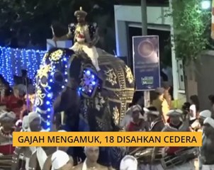 Gajah mengamuk, 18 disahkan cedera