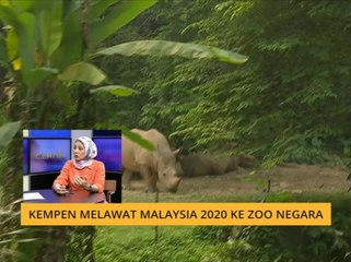 Cerita Sebalik Berita: Kempen melawat Malaysia 2020 ke Zoo Negara