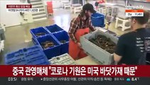 중국 관영매체 