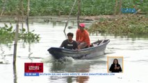 BFAR, hinihintay ang pondo para sa fuel subsidy ng mga mangingisda | UB