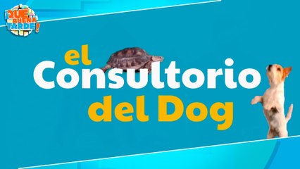 Veterinaria - Martes 15 Marzo 2022