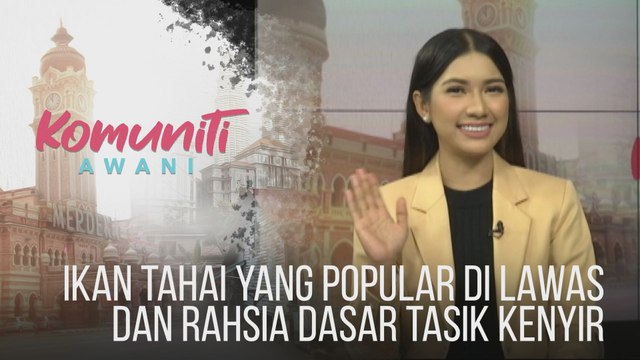 #KomunitiAWANI: Ikan Tahai yang popular di Lawas dan rahsia dasar Tasik Kenyir