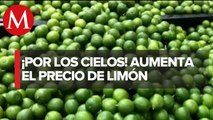 En Michoacán reportan el precio elevado del limón