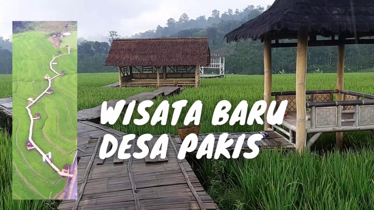 Pakis Village Beautiful Rice Field View - Pakis Limbangan
