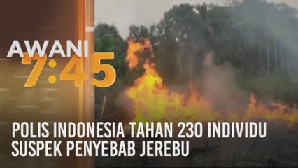 Polis Indonesia tahan 230 individu suspek penyebab jerebu