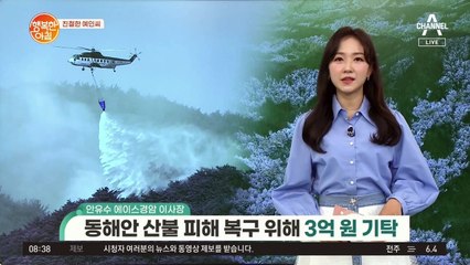 [친절한 예인씨] 에이스 경암 이사장, 동해안 산불 피해 복구 위해 3억 원 기탁