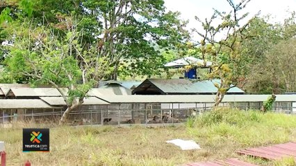 tn7-Pretendían-abrir-restaurante-y-zoológico-en-hacienda-“Fénix”-en-Pérez-Zeledón-150322