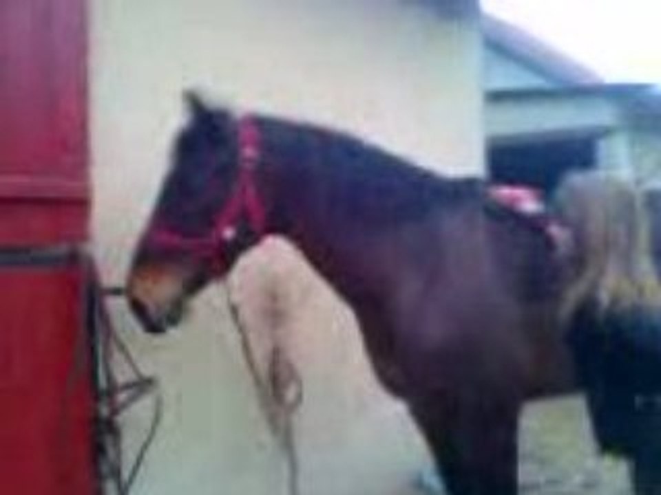 Ghost en kiff