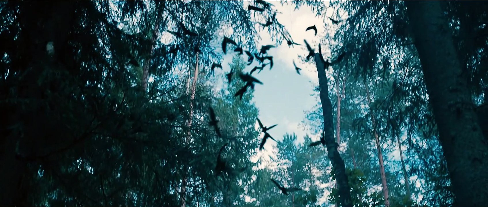 WARHUNT HEXENJÄGER Film