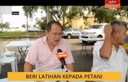 Belanjawan 2020: Beri latihan kepada petani