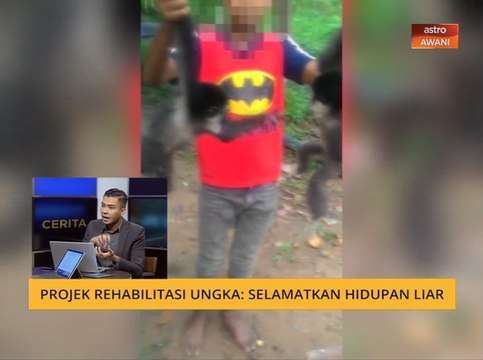Cerita Sebalik Berita: Projek Rehabilitasi Ungka - Selamatkan hidupan liar