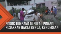 Pokok tumbang di Pulau Pinang rosakkan harta benda, kenderaan