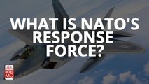 Ukraine Russia Crisis: If Ukraine is under attack, Will NATO Extend Its Help? What is NATO's Response Force?