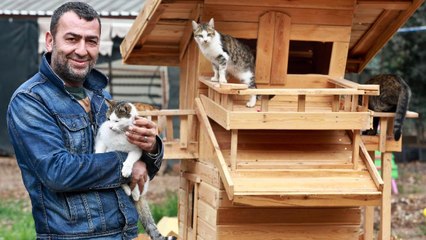 Sokak hayvanları derneği başkanına ‘görevi kötüye kullanmak’tan hapis