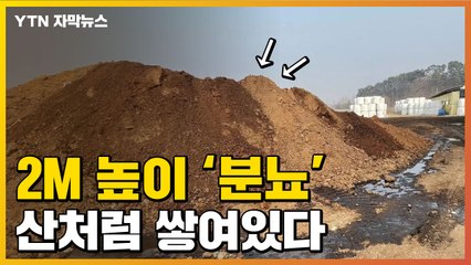 [자막뉴스] 산처럼 쌓인 분뇨..."서산농장서 수백 톤 불법 방치" / YTN