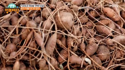5가지 맛이 나는 감자가 있다? 맛도 건강도 색다르게 즐기는 방법!