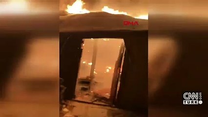 Ahır yangınında 10 büyükbaş hayvan öldü