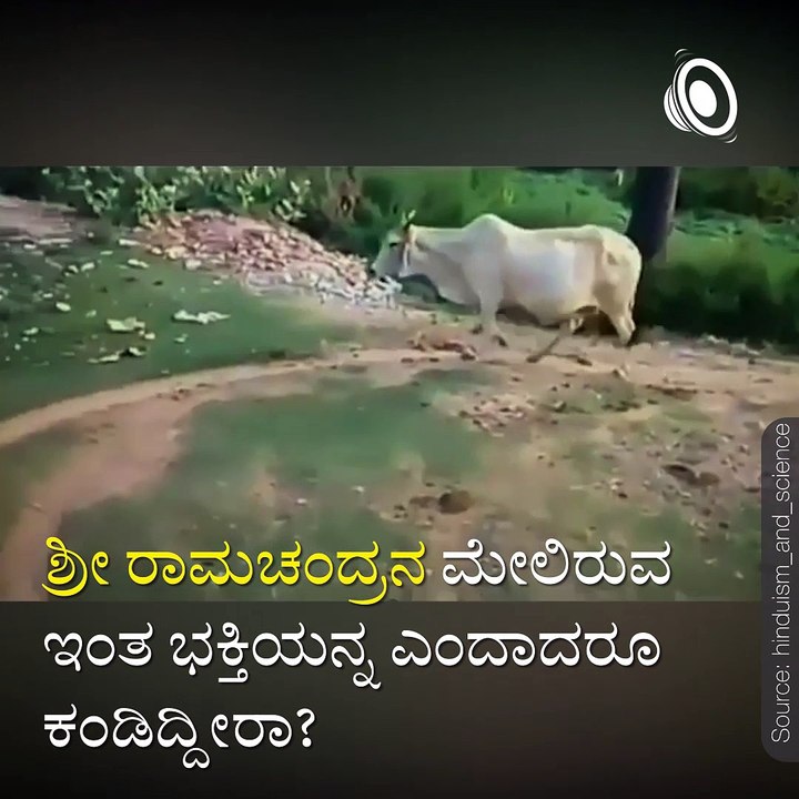 Watch A Wonderful Love Of Gau Mata Towards Lord Rama.