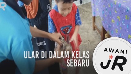 #AWANIJr: Ular di dalam kelas SEBARU