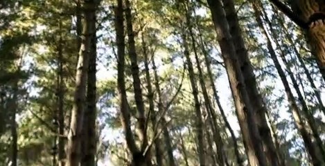 Legend Of The Seeker S02 E03