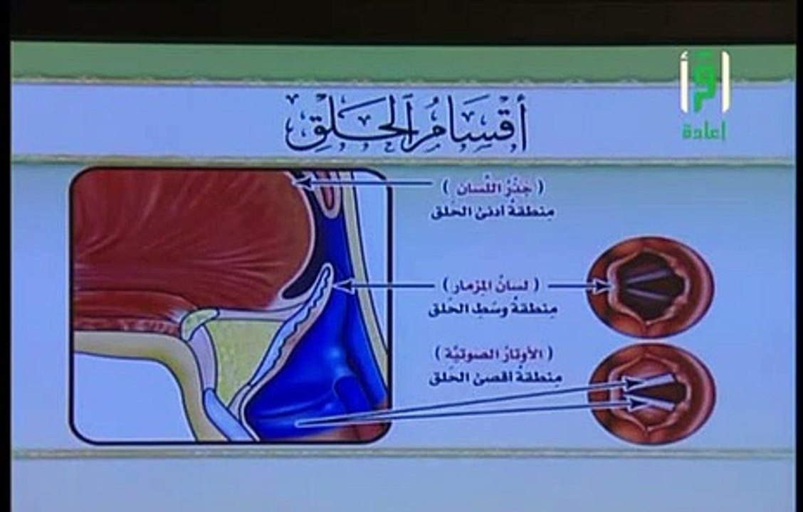 شرح منظومة المقدمة الجزرية  الحلقة 6  باب مخارج الحروف 1  د. أيمن سويد