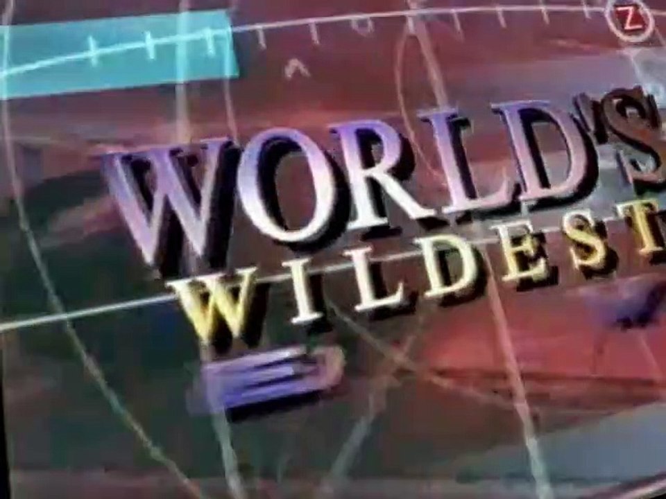 World's Wildest Police Videos S01 E02