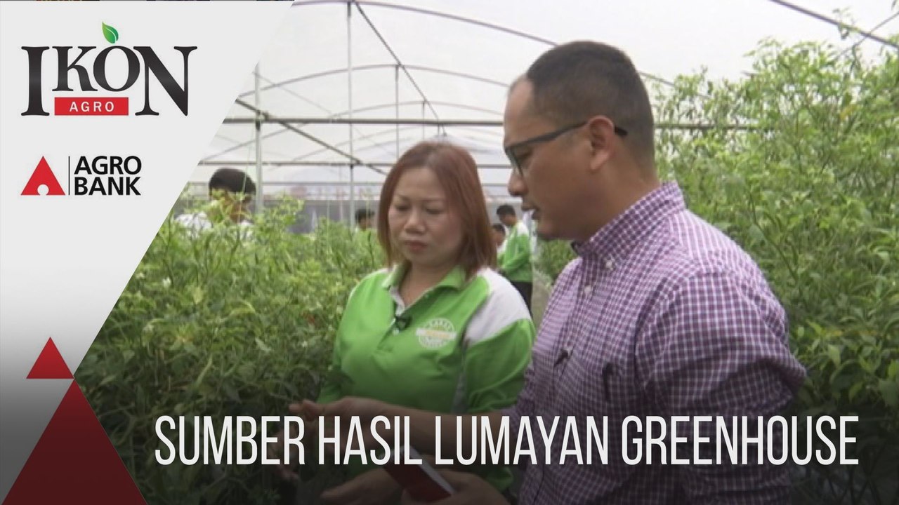 Ikon Agro: Sumber hasil lumayan greenhouse