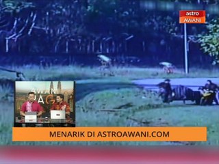 AWANI Pagi: Berita menarik 19 Oktober