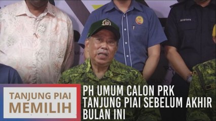 PH umum calon PRK Tanjung Piai sebelum akhir bulan ini