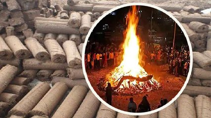 Holika Dahan 2022: होलिका दहन में लकड़ी नहीं बल्कि गोकाष्ठ का करें उपयोग होंगे ये लाभ | Boldsky