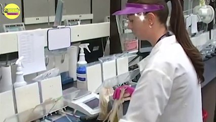 PENYAKIT YANG DI WARISI RATU VICTORIA DARI INGGRIS