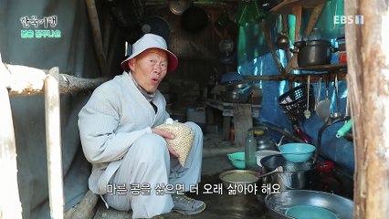 한국기행 - Korea travel_봄을 꿈꾸나요 3부- 계곡 옆 수행자의 집_#001