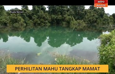PERHILITAN mahu tangkap Mamat