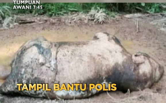 Tumpuan 7.45: Faedah persaraan dilindungi & tampil bantu polis