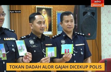 Tokan dadah Alor Gajah dicekup polis