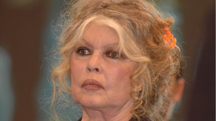 FEMME ACTUELLE - "C'est indécent" : Brigitte Bardot pousse un coup de gueule contre l'Europe et à l'inaction en Ukraine