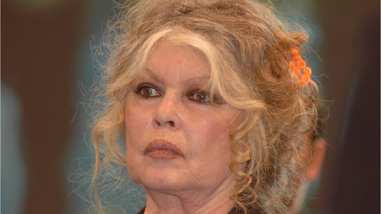 FEMME ACTUELLE - "C'est indécent" : Brigitte Bardot pousse un coup de gueule contre l'Europe et à l'inaction en Ukraine
