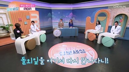 인삼의 6배!! 필수 영양성분이 가득한 효자템 등장✨ TV CHOSUN 220316 방송