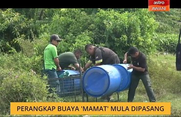 Perangkap buaya 'Mamat' mula dipasang