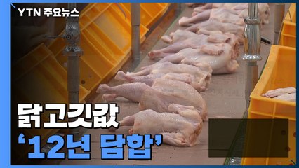 닭고깃값 비쌌던 이유 '12년 담합'..."12조 원 챙겼다" / YTN