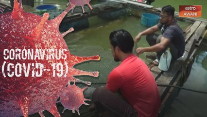 PKP: Jualan ikan air tawar merosot 50%