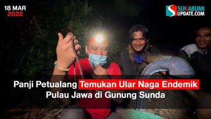 Panji Petualang Temukan Ular Naga Endemik Pulau Jawa di Gunung Sunda