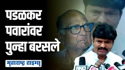 तुम्हाला ३० वर्षात स्वतःचा मुख्यमंत्री करता आला नाही, पवारांनी ५४ आहेत ते सांभाळावेत'
