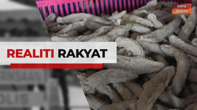 AWANI Pagi: Realiti Rakyat - Perusahaan keropok lekor terjejas