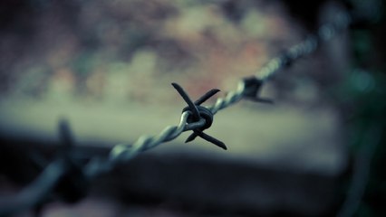 Policía rescató a transportador ecuatoriano secuestrado en Nariño