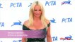 Exclu vidéo : Pamela Anderson, Joaquin Phoenix, Kesha : les amis des animaux !