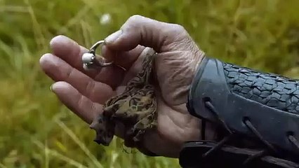 Game of Thrones : saison 6 (bande annonce - VO)