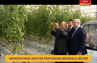 Manfaatkan sektor pertanian berskala besar