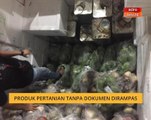 Produk pertanian tanpa dokumen dirampas